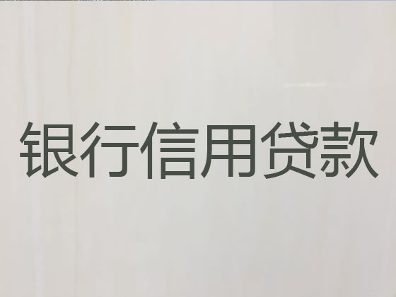 阿克苏贷款公司-银行信用贷款